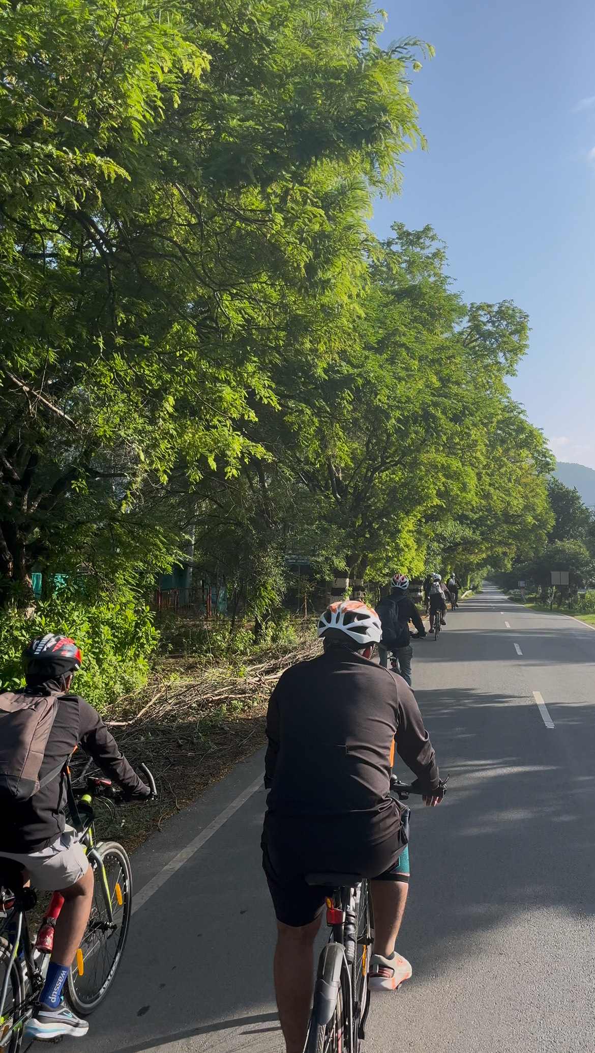 Cycling team on a scenic road