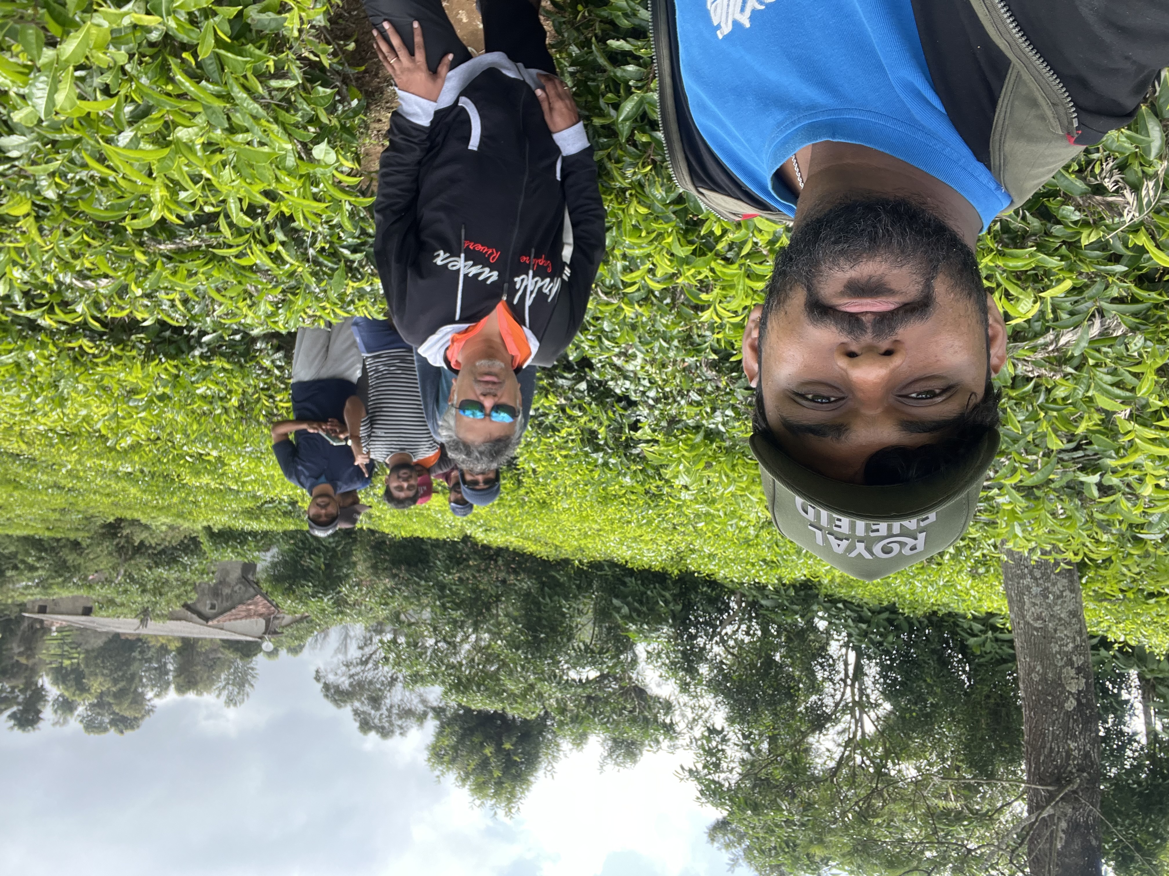 Cyclists in a tea plantation